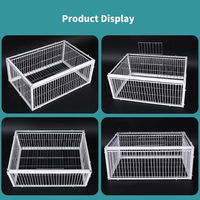 Cage à pigeons pliable et portable pour la course, compacte, en fil de fer, pour pigeons voyageurs, vente en gros, pour l'extérieur, résistante aux intempéries