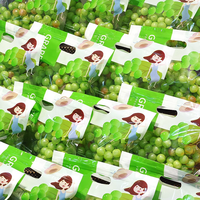 Custom Logo Gedrukt Transparant Food Grade Slider Ziplock Gelamineerd Fruit Druif Verpakking Zak
