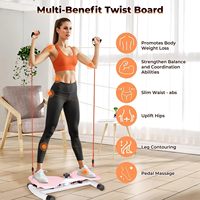 RS Waist Twister : Appareil de fitness pour la taille à usage domestique, Planche d'exercice abdominale debout, Planche Ab Twister