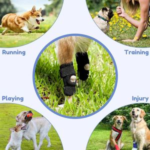 Attelle de Genou pour Chien, Protection des Ligaments ACL, Soutien à la Rééducation, Haute Élasticité, Anti-Collision, en Fibre - Product Image 5