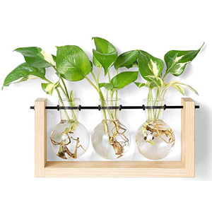 New Plant Propagation Stations Terrarium With Wood Stand 3 Glass Planters Air Holder for Indoor House Plants - Product Image 1