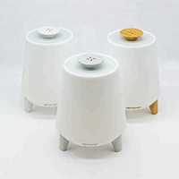 Diffuseur d'huiles essentielles ultrasonique purificateur d'air haut-parleur télécommandé 300 ml vente en gros pour la maison