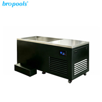 Baignoire à glace rectangulaire écologique Bropool, facile à installer, design moderne, en cèdre, pour usage intérieur et extérieur, idéale pour villa et salle de sport