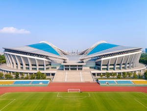 Estructura <span class=keywords><strong>de</strong></span> Acero Ligero para Construcción <span class=keywords><strong>de</strong></span> Estadios, Pabellón Deportivo Interior, Estructura Metálica para <span class=keywords><strong>Cancha</strong></span> <span class=keywords><strong>de</strong></span> Bádminton y Baloncesto en Venta - Product Image 1