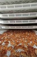 Hi-Efficiëntie Fruitdroger Machine Voor Thuis En Commerciële Voedseldrogers