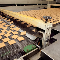 Ligne de production de biscuits moelleux entièrement automatique en acier inoxydable à haute efficacité, machine de traitement de la farine, capacité de 833 kg/h