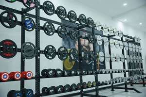 Nhà Máy Sản Xuất Sang Trọng Quả Tạ Electroplated Quả Tạ Thiết Bị Tập Thể Dục Rắn Tinh Khiết Thép Nhà Phòng Tập Thể Dục Tập Thể Dục Cánh Tay - Product Image 5