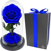 Eternal Rose Grosir Bunga Dekoratif Stabil Mawar Abadi Diawetkan Mawar Dalam Kaca untuk Hadiah