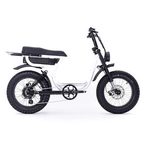 Vélo électrique à pneus gras 20 pouces avec moteur arrière sans balais 48V500W 750w (bafang), fourche à suspension intégrale, vélo à pneus gras - Product Image 1