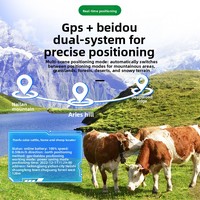 Traceur GPS+Beidou solaire étanche IP65 4G pour bétail |   Alarme vibrante avec autonomie de 1 an pour bovins, chevaux et animaux de compagnie