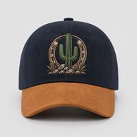 Chapeau de papa ajustable en coton Vintage unisexe en gros casquette de baseball vierge casquettes de sport en détresse teintes