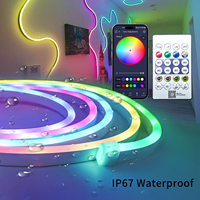 Bande LED néon intelligente flexible en PVC souple RGBIC, étanche pour extérieur, avec télécommande USB APP BT, 1M 3M 5M