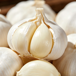 Ail Blanc Pur Récolte 2026, 5cm, Carton de 10kg, Export en Vrac pour Acheteur de <span class=keywords><strong>Maurice</strong></span> Ali - Product Image 3