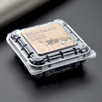 Wegwerp Doorzichtige 125G Bosbessenverpakkingsdozen Clamshell Blister Fruitvoedselcontainer Bosbessencontainer