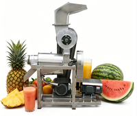 Commerciële industriële automatische fruitpers met motor, professionele sinaasappel- en citroenpers