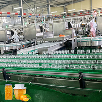 ENAK Fruit- en groentebewerkingslijn voor ananas, mango, mandarijn en sinaasappel met hoge efficiëntie, capaciteit 1-60 ton