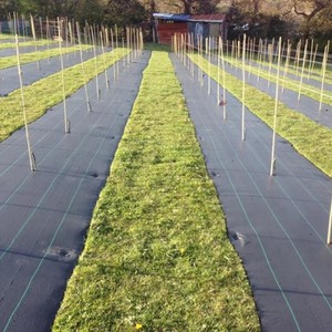 Feuille de paillage anti-mauvaises herbes en polypropylène tissé écologique à prix d'usine - Product Image 6