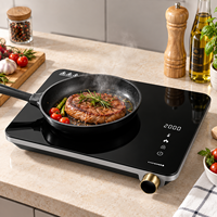 Cuisinière à induction portable 2000W, plaque chauffante électrique à brûleur unique avec commande par bouton rotatif pour la maison, la cuisine, le camping, usine OEM