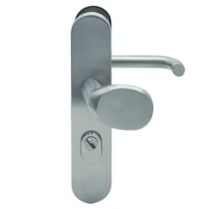 SKG Standard stainless steel security external door handle on plate for door security,security door lock