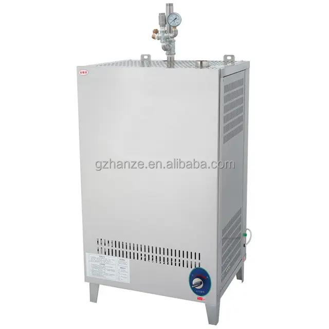 Generatore di vapore a gas naturale gpl per cibo a vapore o armadio a vapore