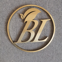 Lettres murales en métal au design libre, enseignes dorées 3D en acier inoxydable, petites lettres de l'alphabet en métal, logo d'entreprise