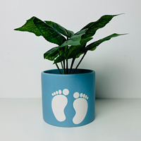 Jardinière en céramique mate d'ornement de jardin de petits pieds personnalisée