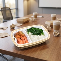 Boîte à lunch rectangulaire en plastique PP jetable auto-chauffante pour sandwichs chauds, pizzas, aliments pour bébés, nouilles, sushis, hamburgers, chips
