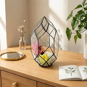 Mini serre créative en verre pour plantes, boîte de propagation pour plantes succulentes, terrarium miniature en <span class=keywords><strong>bouteille</strong></span> pour micro-paysages et mousse - Product Image 2