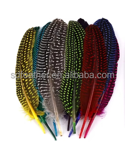 Pluma <span class=keywords><strong>de</strong></span> Gallo <span class=keywords><strong>de</strong></span> Guinea Teñida <span class=keywords><strong>de</strong></span> Alta Calidad, <span class=keywords><strong>de</strong></span> 15-20 cm, Precio <span class=keywords><strong>de</strong></span> Ganga Profesional, <span class=keywords><strong>Venta</strong></span> al por Mayor <span class=keywords><strong>de</strong></span> Fábrica - Product Image 3