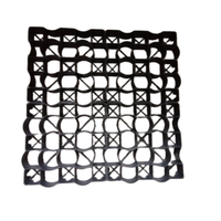 Grille de sol en plastique pour pelouse, paddock de cheval en HDPE