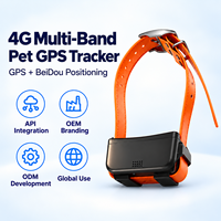 Traceur GPS Beidou multi-bandes 4G, étanche IP67, API, OEM, ODM, application gratuite, géolocalisation, localisateur lumineux pour animaux de compagnie, pour chiens de chasse et grands animaux
