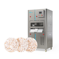 Ligne de production clé en main de craquelins de riz : cuisson automatique, assaisonnement et emballage – Ligne de production complète