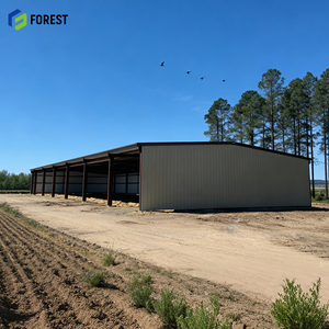 Bâtiment préfabriqué en acier Smart Stout 40X60X14, sûr, léger, pour stockage logistique mobile, ignifuge, flexible, géant - Product Image 1