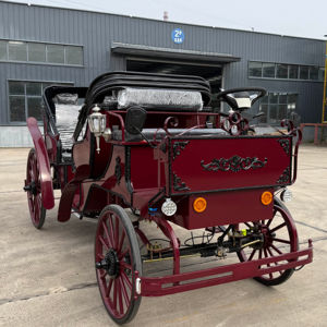 Carrosse touristique de Victoria, carrosse classique tiré par des chevaux - Product Image 1