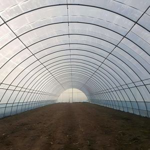 โรงเรือนแบบช่วงเดียวสำหรับการเพาะปลูกกระบองเพชรและไม้อวบน้ำที่มีแสงสูงและการระบายน้ำได้ดี - Product Image 4