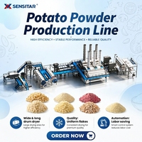 2 ton/uur aardappel sneeuwvlokkenpoeder productielijn, machine voor industriële aardappelmeelverwerking