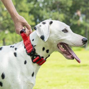 <span class=keywords><strong>Collar</strong></span> táctico de nailon para perro, collares de liberación rápida para mascotas con hebilla de serpiente, entrenamiento duradero, collares resistentes para perros grandes con asa - Product Image 2