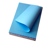 Rollo de papel de dibujo de 20 "CAD de dos lados imprimible de color azul