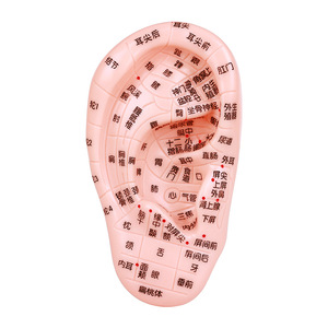 Truyền Thống Trung Quốc y tế giải phẫu mô hình chân châm cứu điểm manikin PVC nhựa cơ thể con người phác thảo - Product Image 3