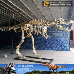 Modelo Educativo de Dinosaurio Z My <span class=keywords><strong>Dino</strong></span> DS-062, Esqueleto de Dinosaurio <span class=keywords><strong>3D</strong></span> de Tiranosaurio <span class=keywords><strong>Rex</strong></span> - Product Image 5
