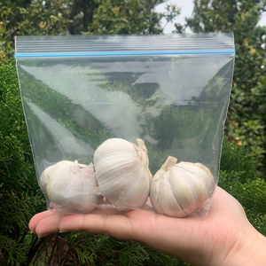 Custom Logo Gravure Printed Microwaveable Reusable Airtight Smell-Proof Double Track Zipper Plastic Storage <b>Bags</b> - Product Image 1