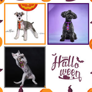 Rarewe, accesorios para mascotas, corbata de Halloween, ajustable, varios tipos de patrones surtidos, pajaritas para mascotas, Collar para gato, perro, regalo de cumpleaños - Product Image 5
