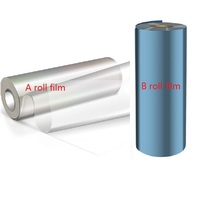 Rouleau de film UV DTF AB pour impression d'étiquettes en cristal, film de transfert PET A+B, ensemble 30cm 60cm, autocollant direct sur film