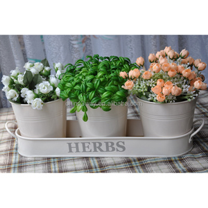 <span class=keywords><strong>Pot</strong></span> <span class=keywords><strong>de</strong></span> fleurs d'<span class=keywords><strong>intérieur</strong></span> pour plantes, jardinage, vente en gros, Pots <span class=keywords><strong>de</strong></span> fleurs décoratifs en métal pour herbes, vente en gros - Product Image 3