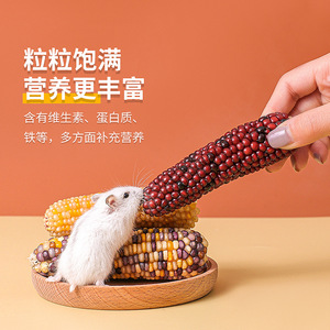 Juguete Masticable de Maíz para Roedores, Tamaño Pequeño, Nutritivo, para Hámsteres - Product Image 2