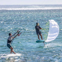 Planche de surf à foil parawing, nouvelle conception populaire, à ailes, pour le vent descendant