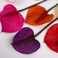 Bunga Anthurium Flamingo Lily Awet Bentuk Hati Berbagai Warna, Buket Alami Kering Abadi untuk Hari Valentine