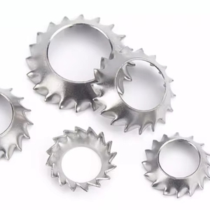 Chất Lượng Cao Thép Không Gỉ Răng Cưa Chìm Khóa Máy Giặt Din6798v Bên Ngoài Răng Máy Giặt Cho Đầu Phẳng Vít - Product Image 2