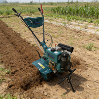 Micro-cultivateur 2 rangs 50 kg avec boîte de vitesses 192CC, moteur diesel 135 de 10 CV, haute efficacité, économie d'énergie, faible consommation de carburant