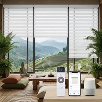 Stores enrouleurs zébrés électriques Alexa haut de gamme, occultants à 100 %, pour chambre à coucher, en tissu double couche, pour l'intimité et la lumière, taille personnalisée